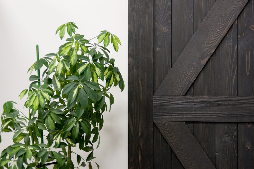 porte en bois massif noir