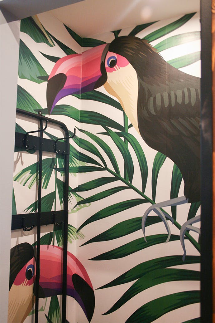 papier peint décoratif avec des oiseaux dans l'agencement de l'armoire