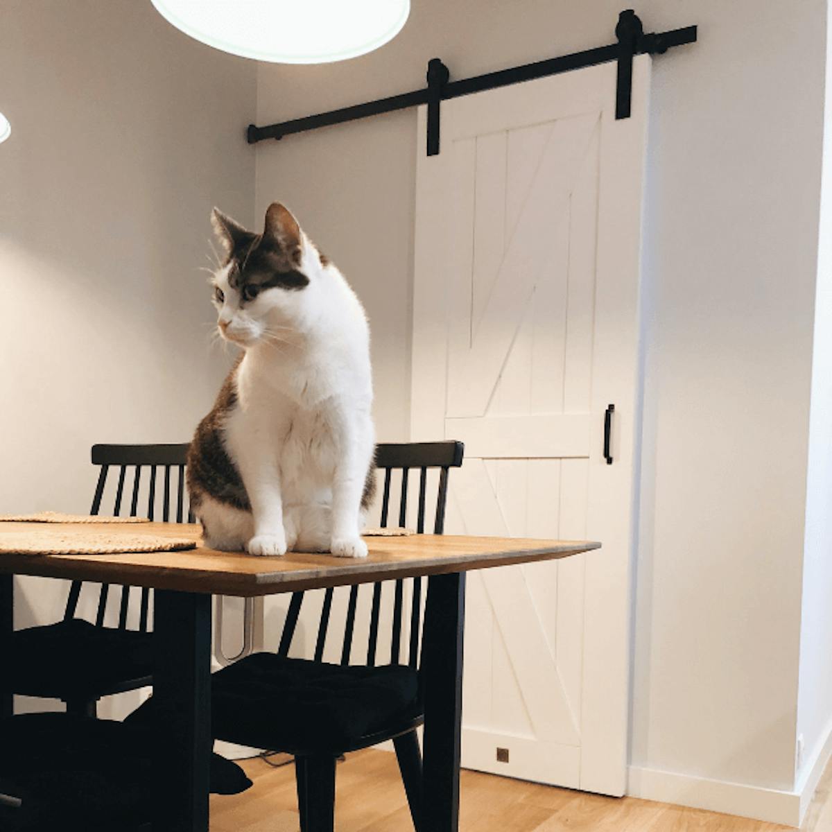 white sliding door, industrial interior, metal interior accessories, wooden sliding door, barn door style sliding doors, black chairs