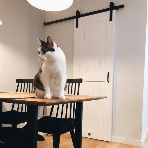 white sliding door, industrial interior, metal interior accessories, wooden sliding door, barn door style sliding doors, black chairs