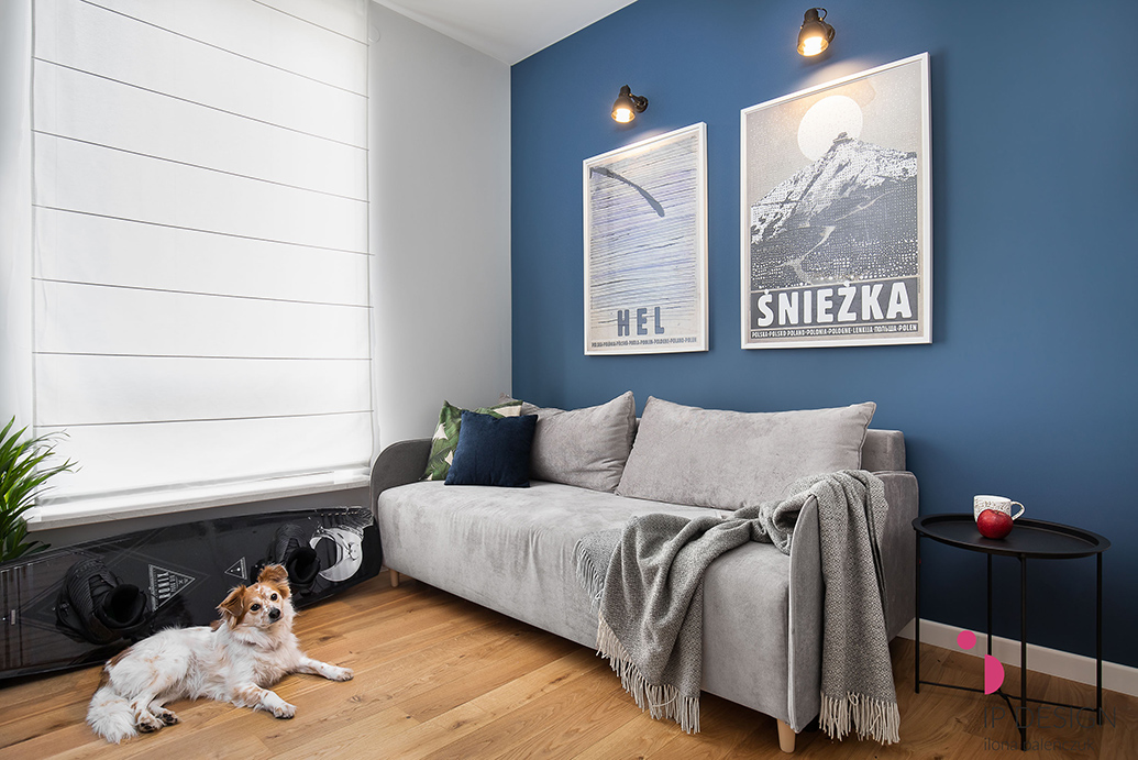 blaue Wand im Wohnzimmer, graues Sofa, große Plakate an blauer Wand, weiße und blaue Wände im Wohnzimmer, schwarzer Metall-Beistelltisch