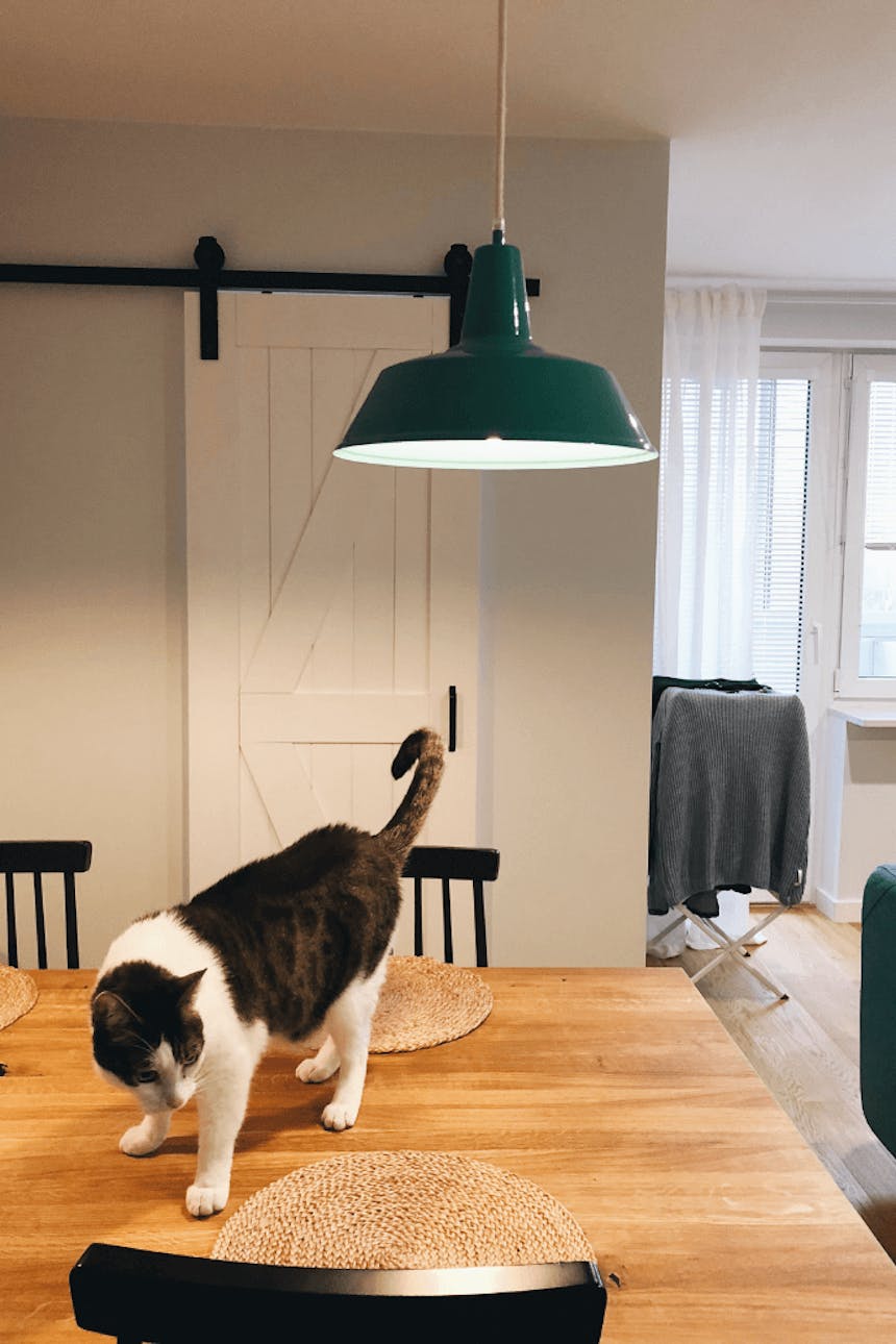 flaschengrün im Innenraum, weiße Schiebetür, industriellem Innenraum, Metallzubehör im Innenraum, Holzschiebetür, grüne Sofa, grüne Hängelampe