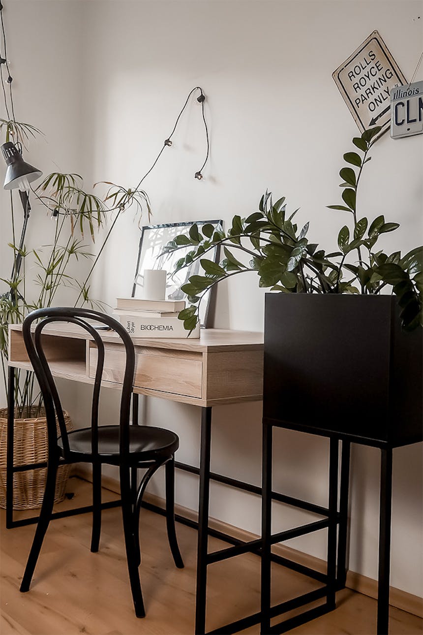 aranżacja pokoju studenta w stylu loft z dużym biurkiem oraz dużym stojakiem na kwiaty