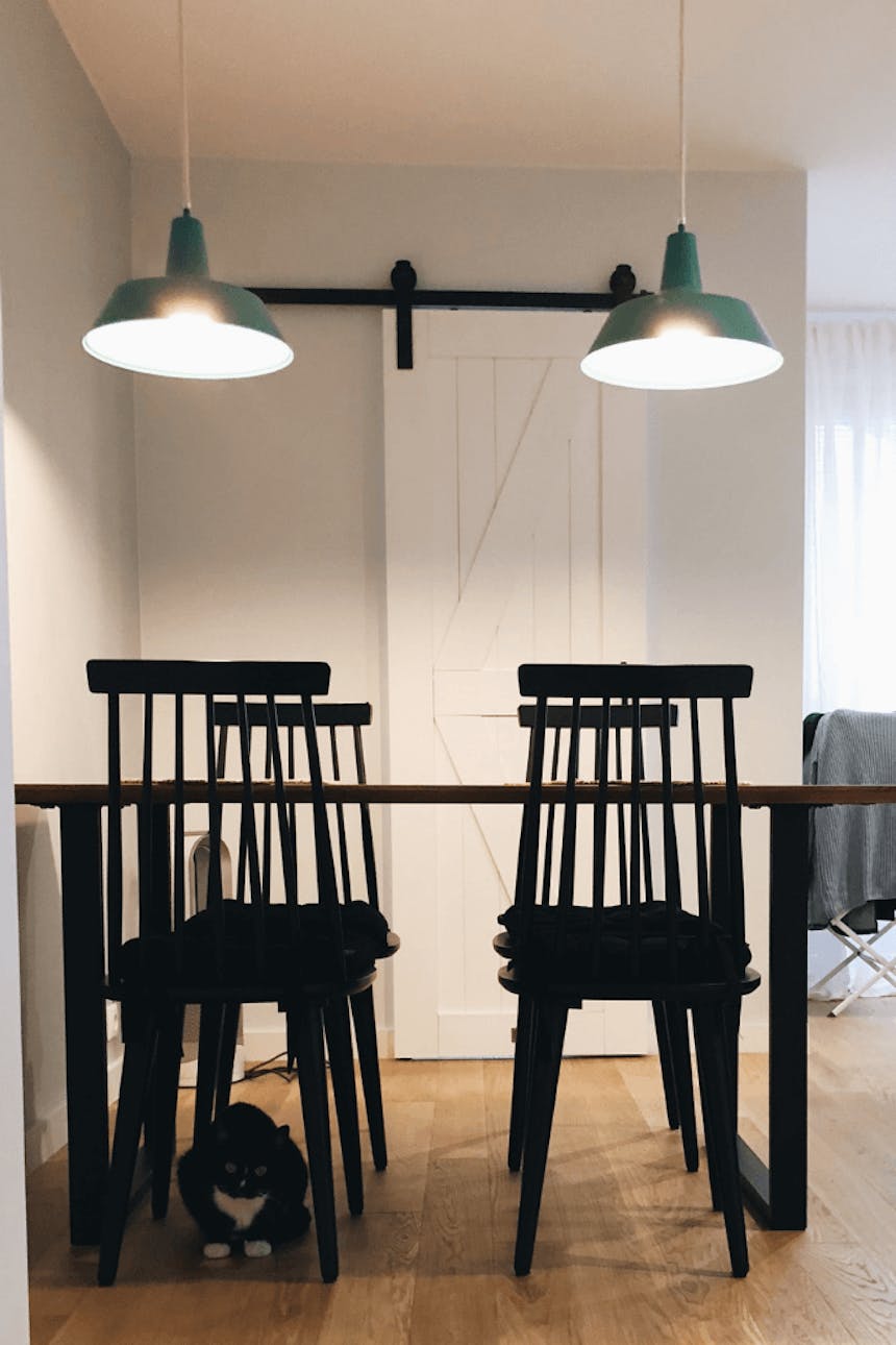 weiße Schiebetür, industriellem Innenraum, Metallzubehör im Innenraum, Holzschiebetür, "barn door"-Stil Schiebetüren, grüne Hängelampe, schwarze Stühle