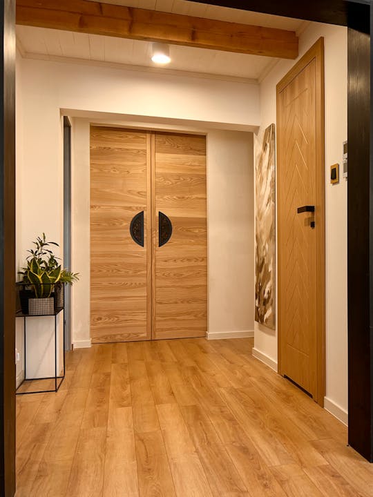 minimalist double sliding doors