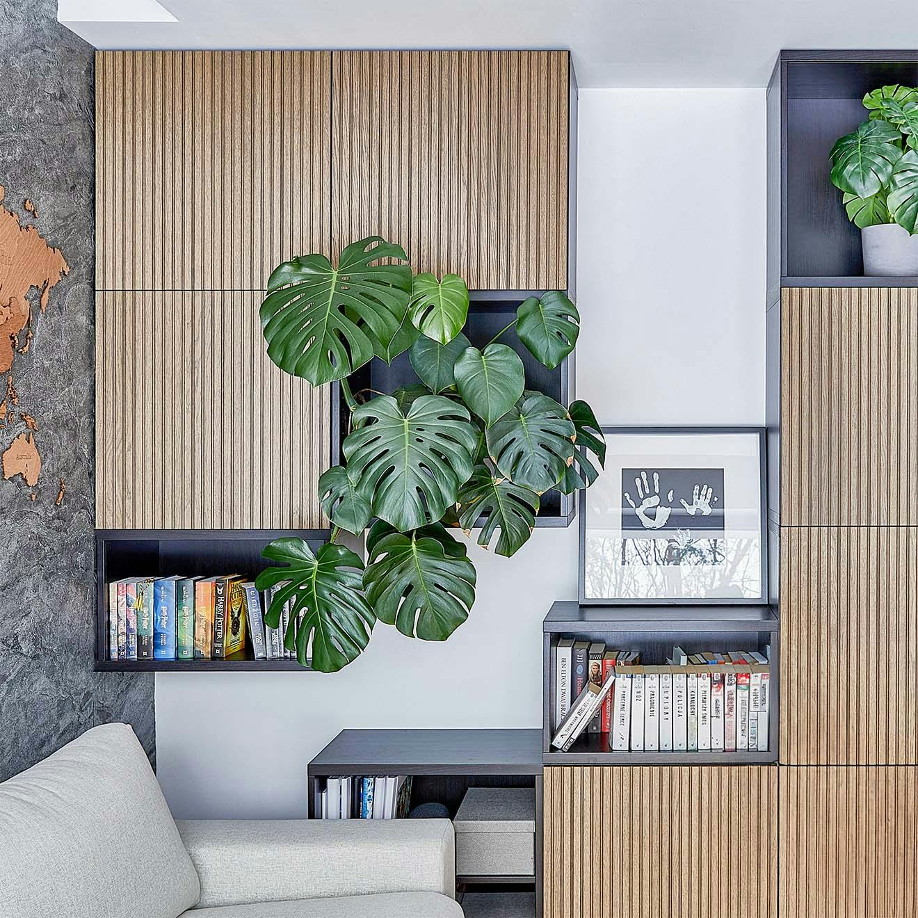 modular cabinets with bright fronts and shelves filled with books and green plants