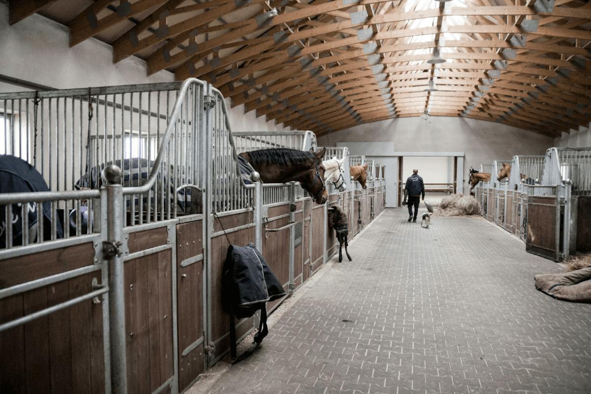 “Barn Door” in unkonventionellen Stallungen mit toller Atmosphäre – RENO Schiebetüren in einem fertig eingerichteten Raum.