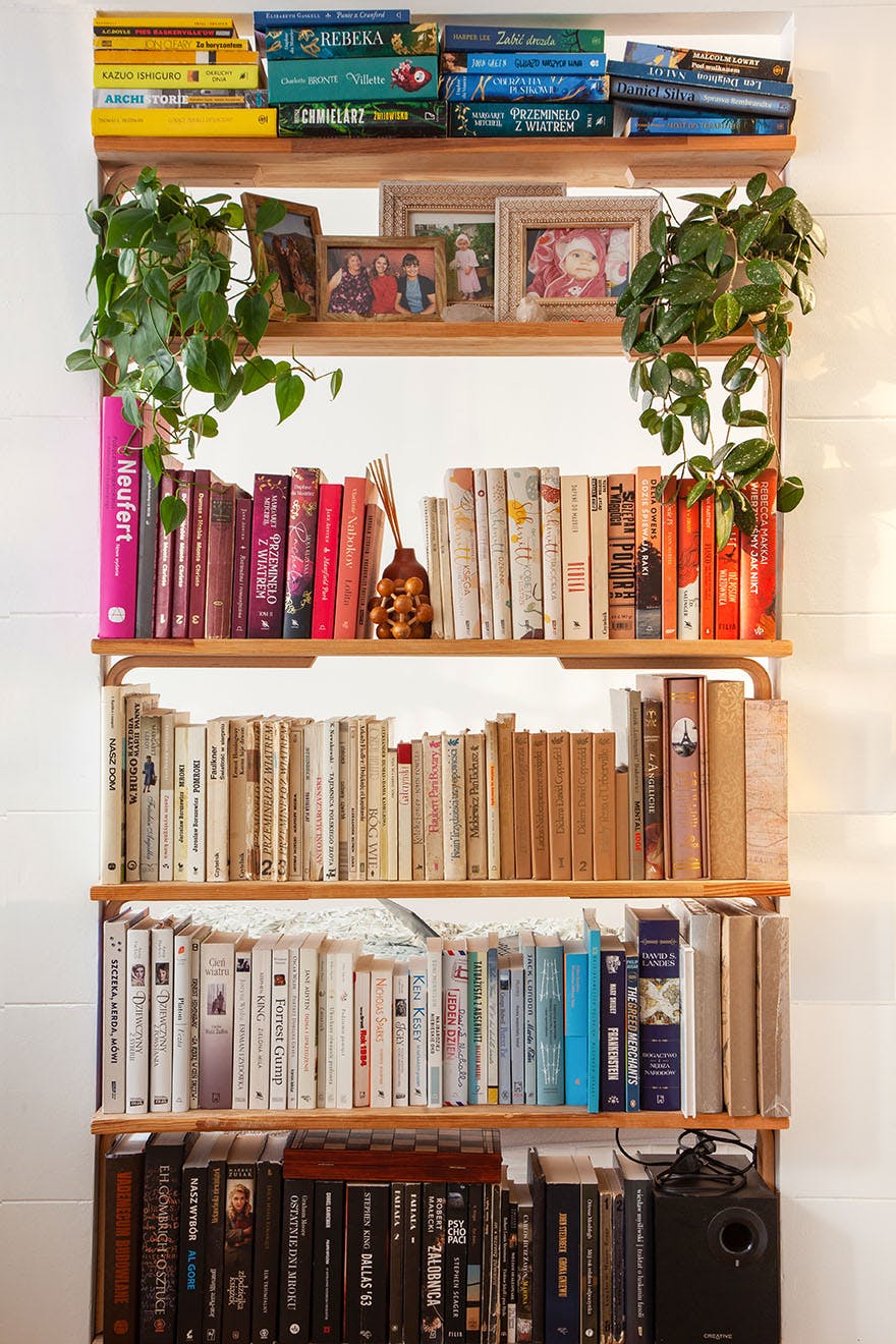 bookshelf in a small apartment