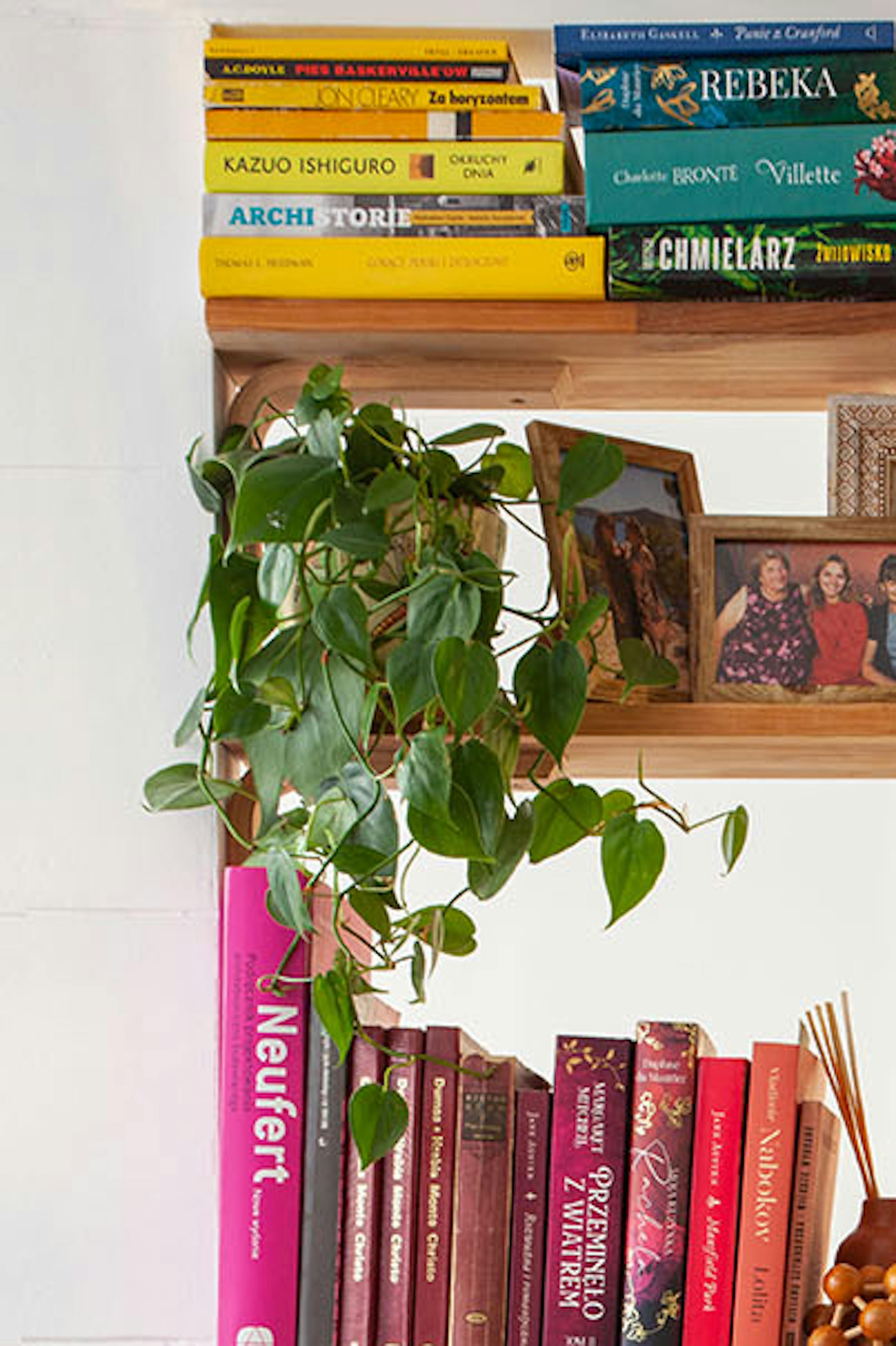 étagère dans un petit appartement