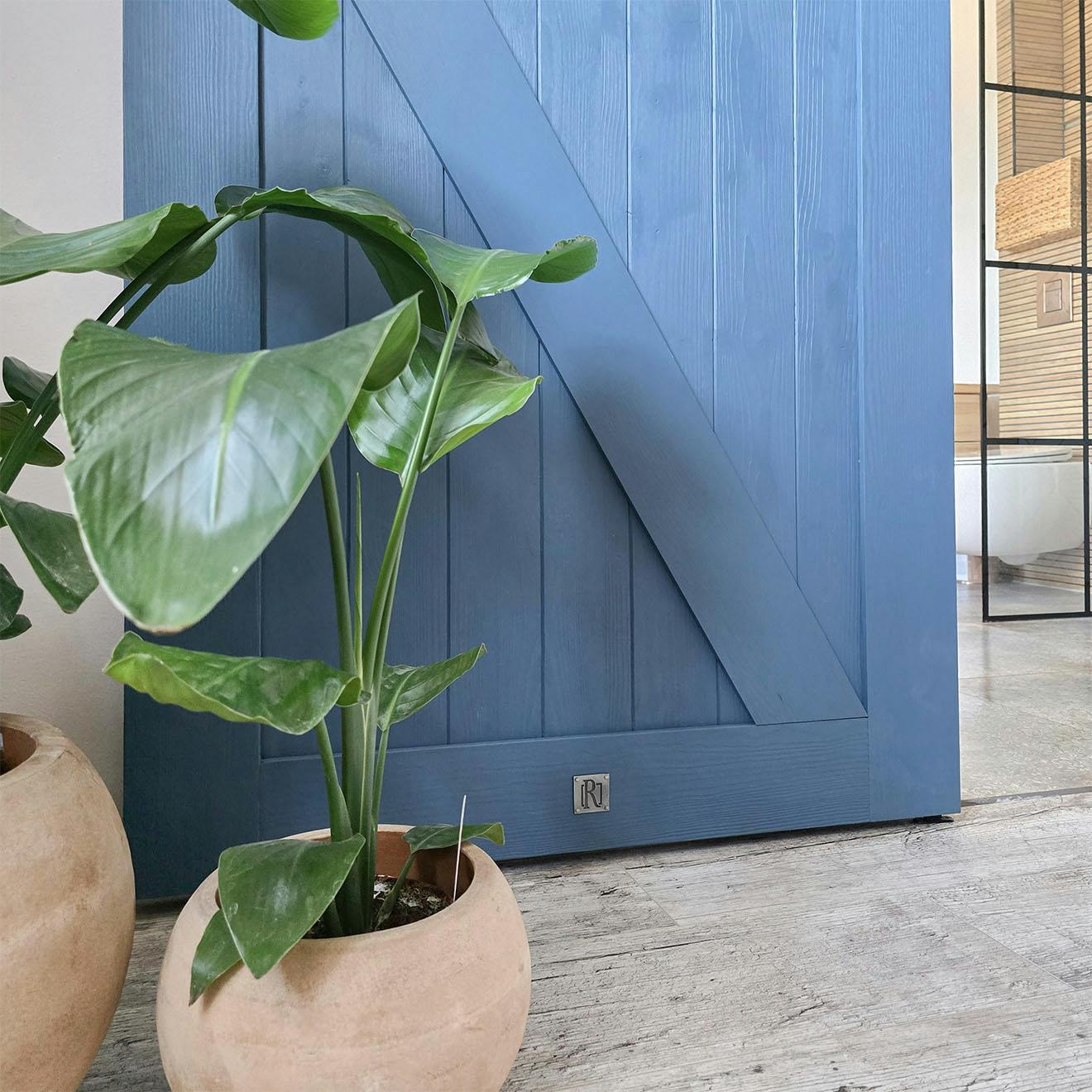 details of blue sliding doors made of wood and a flowerpot with a green plant