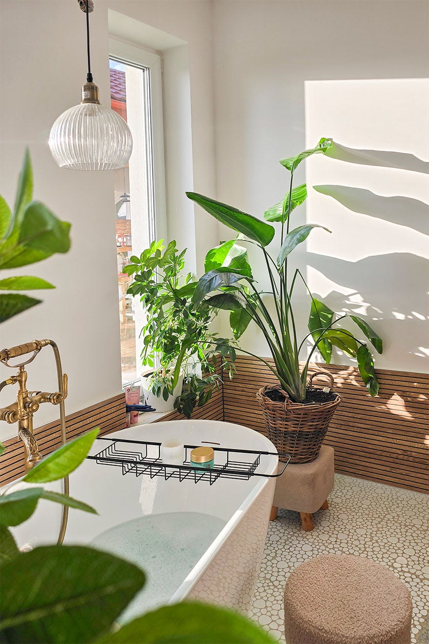 relaxation area in the bathroom: free-standing bathtub, large potted plants and retro fittings