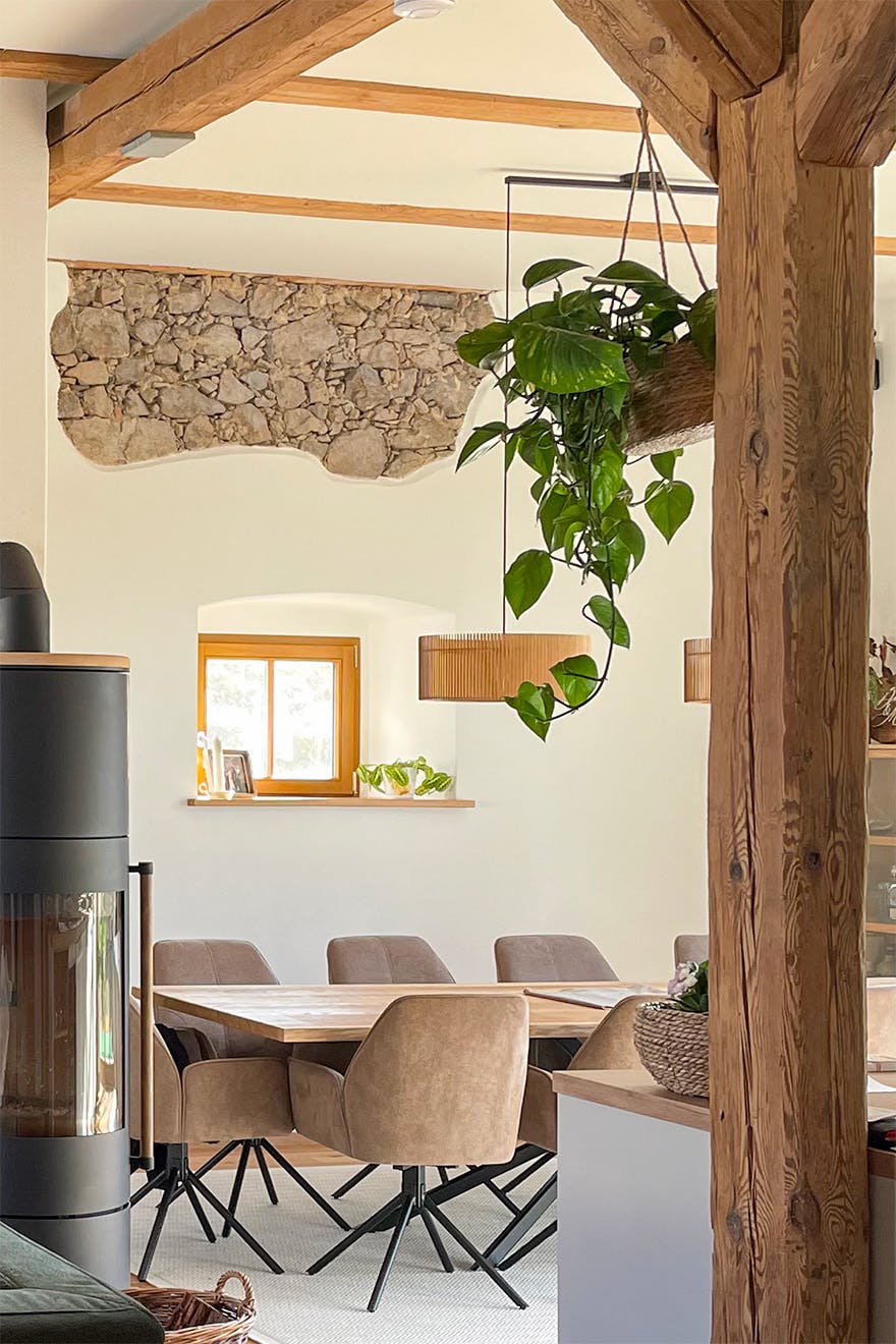 Dining room in modern country home with wooden table, beige chairs, hanging plants and fragment of stone wall.