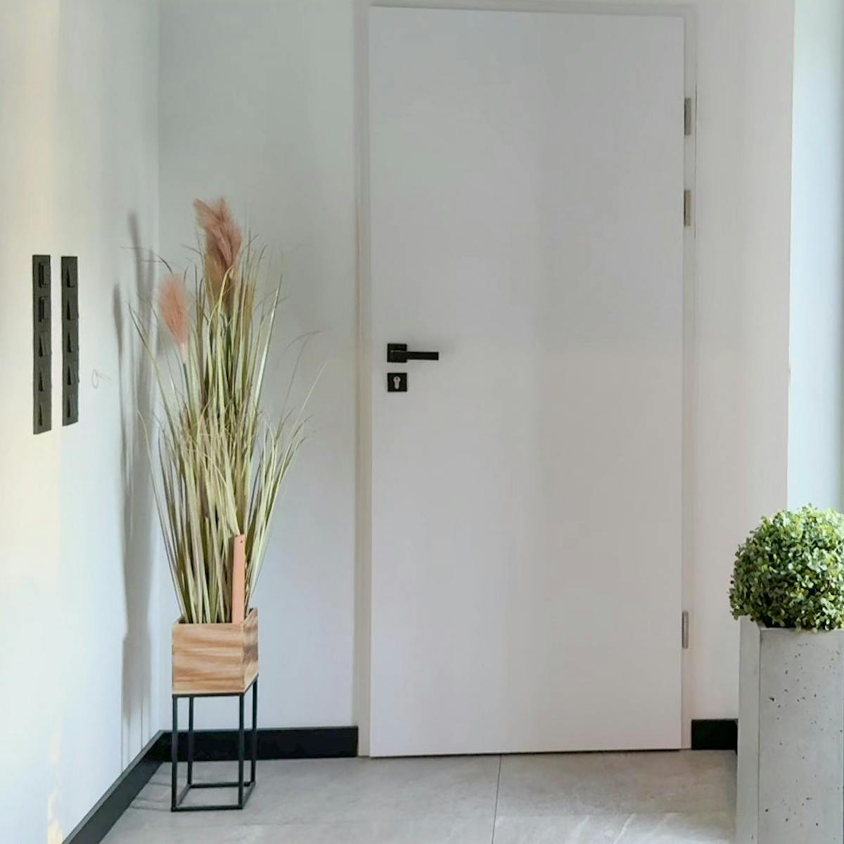 Wnętrze wiatrołapu z nowoczesnymi dekoracjami. Obok białych drzwi z czarną klamką stoi wysoka, dekoracyjna roślina w drewnianej donicy.
