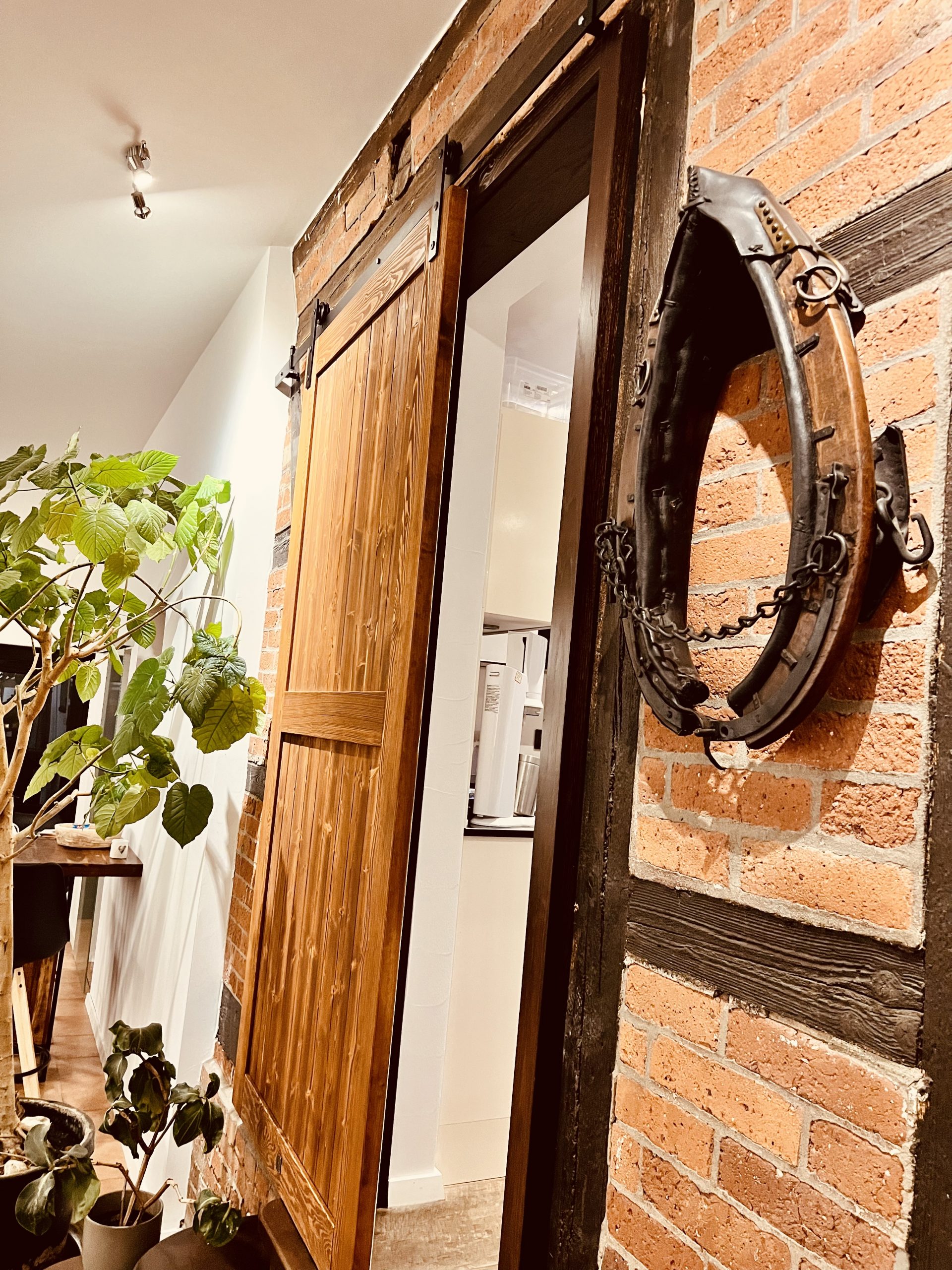 Review image 3 for product 440