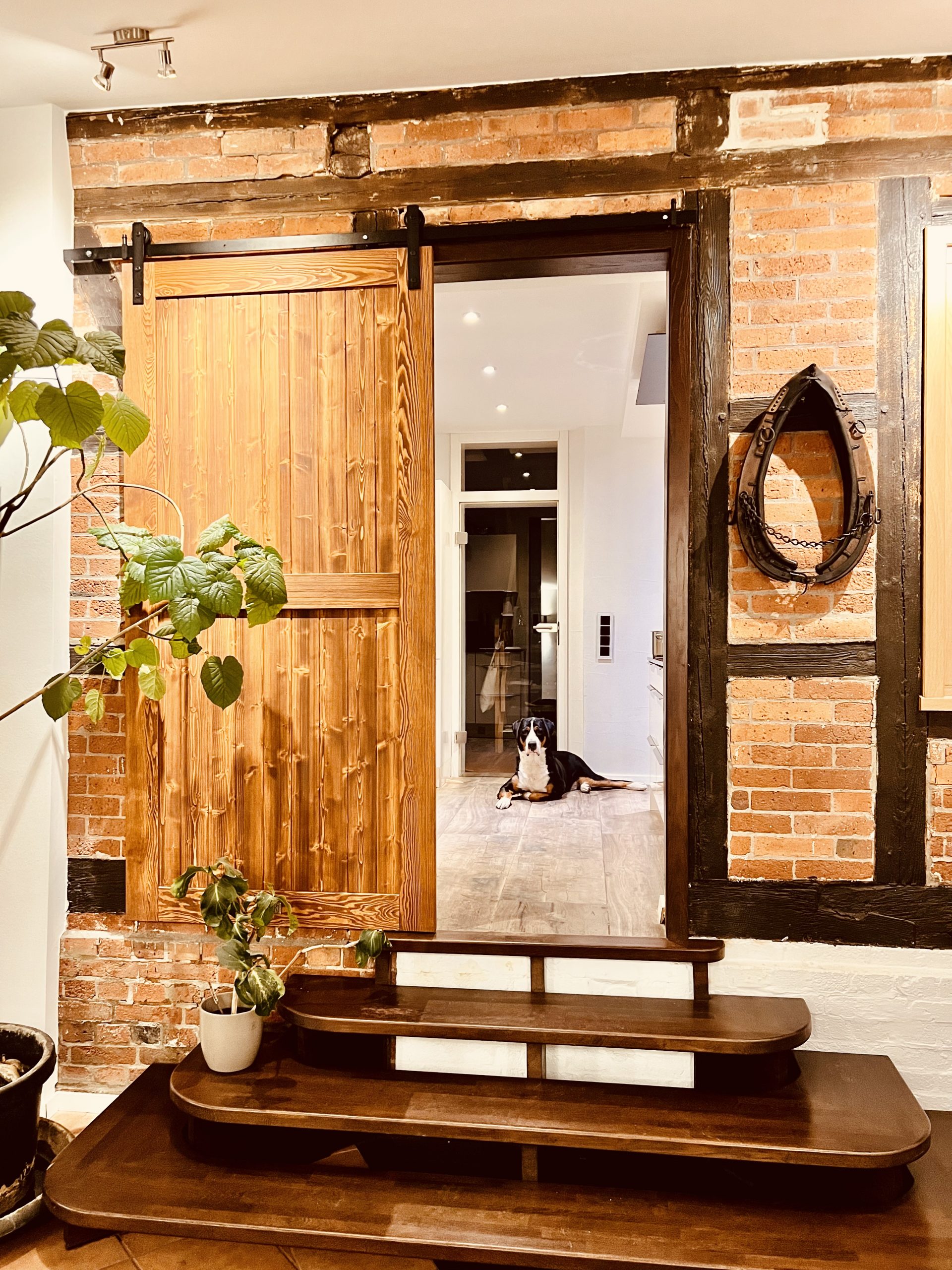 Review image 2 for product 440