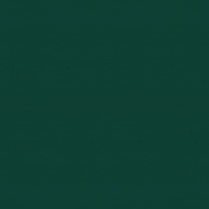 RAL 6005
