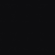 Tiefschwarz (RAL 9005)