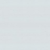 RAL 9010